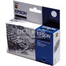 Cartus Cerneala Epson Ink Cartridge light black;Stylus Photo 2100 - C13T03474010